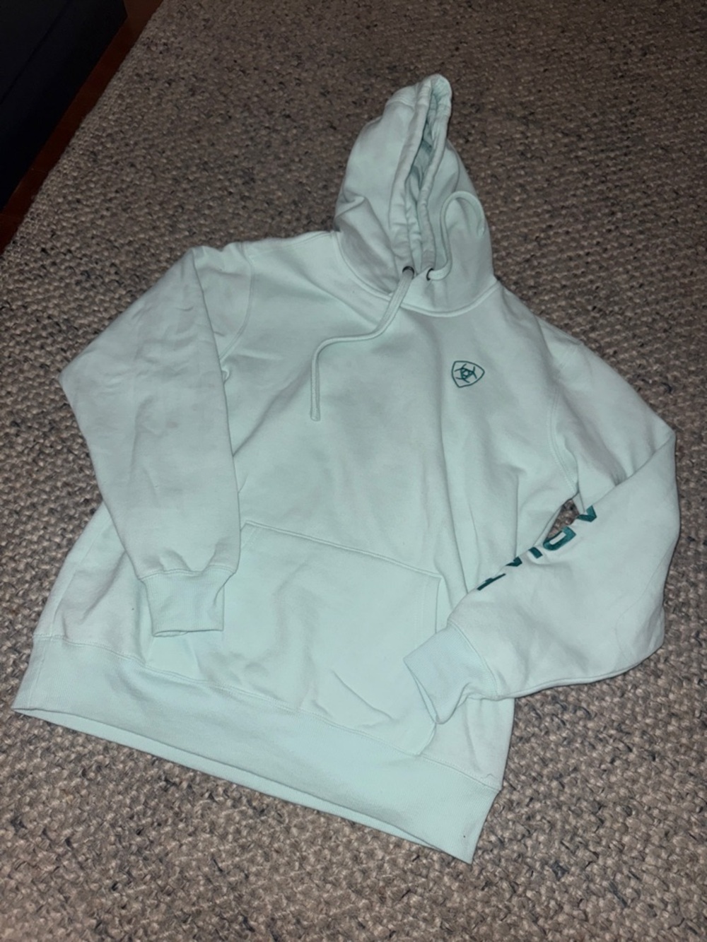 Ariat Mint Hooded Pullover with Chest Logo